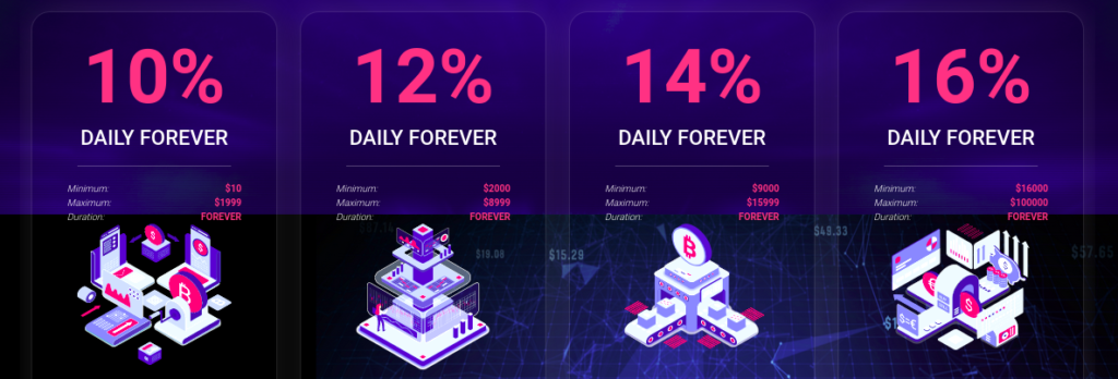 zolibit.com review. zolibit review