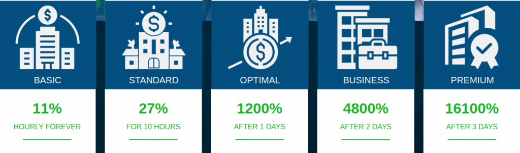 Cryptolizer.cc review, Cryptolizer review