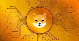 shiba inu