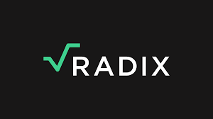 What Makes Radix Unique