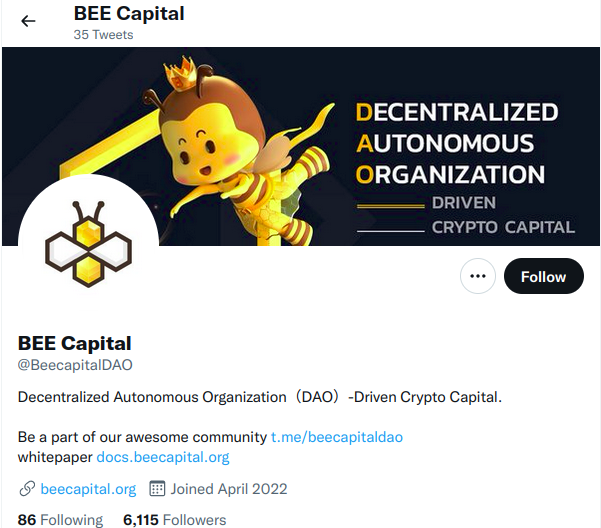 Bee Capital Review, Bee Capital, BEE Token